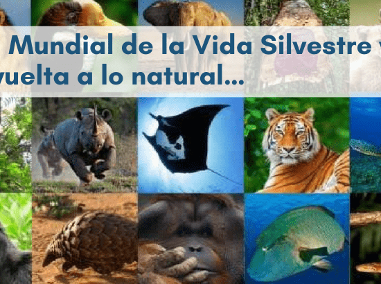 Día Mundial de la Vida Silvestre